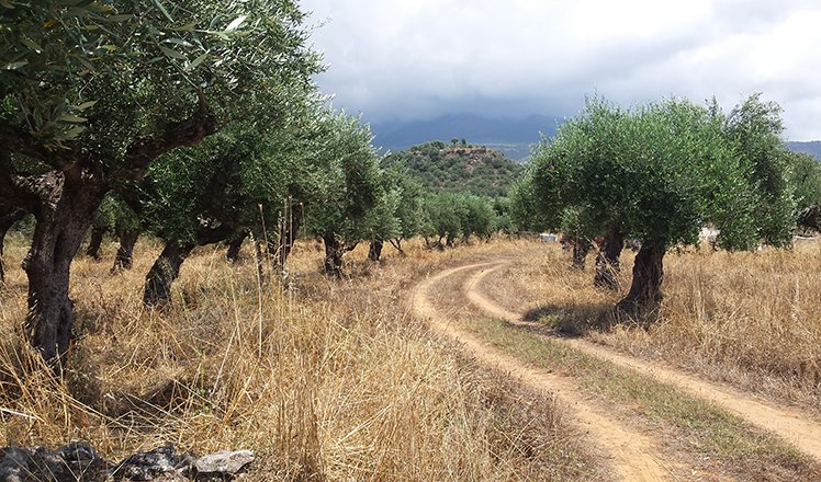Fietsen op de Peloponnesos