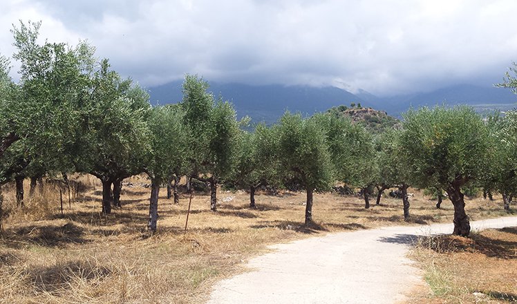 Fietsen op de Peloponnesos
