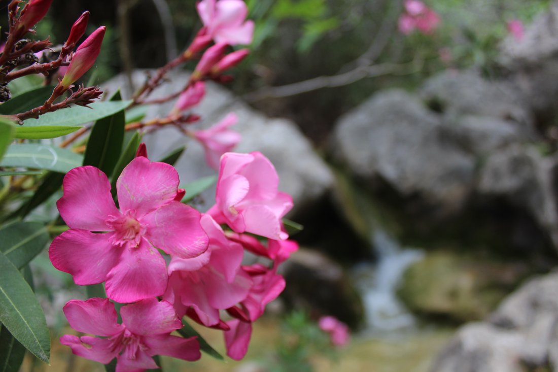 Milopotamos watervallen