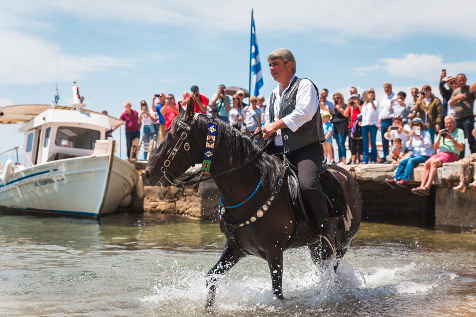 ross holidays_pilion_hemelvaart paarden_00002.jpg