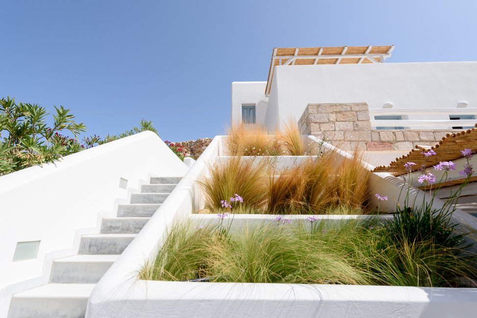 toffeebuilding_ (3).jpg