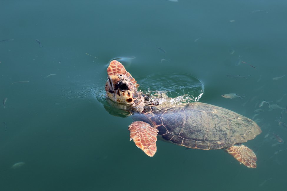 kefalonia_2018_sj (41).jpg