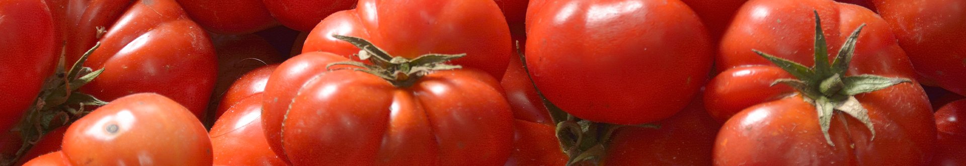 bant_tomaat.jpg