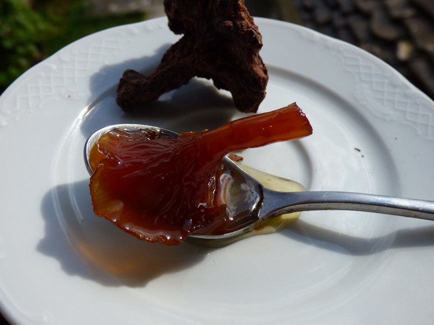 Ambacht en nostalgie in Epiros