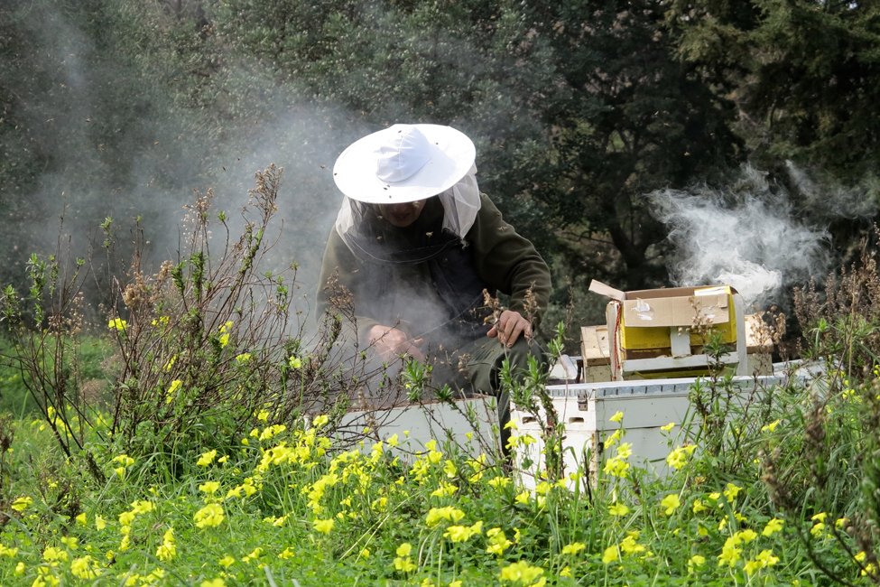 Imker op West-Kreta