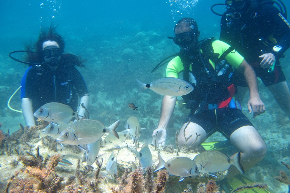 Duiken op Kefalonia, Griekenland