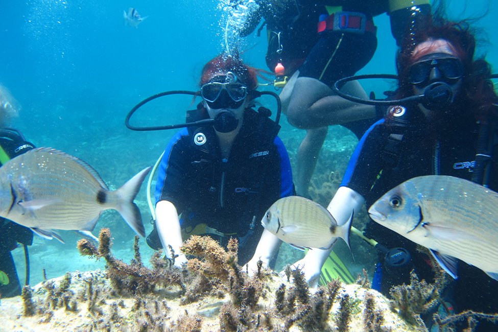 Duiken op Kefalonia, Griekenland
