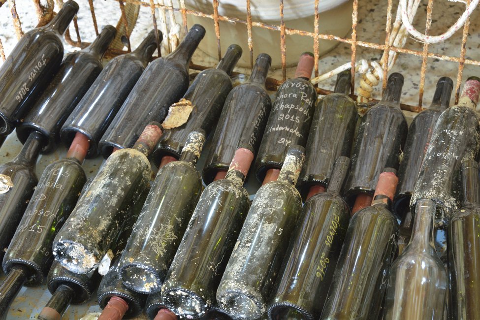 Foivos winery Kefalonia