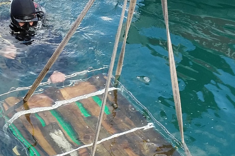 Foivos winery Kefalonia