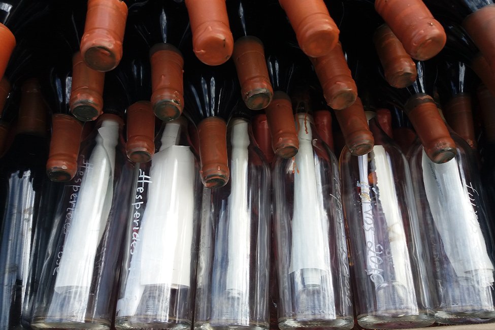 Foivos winery Kefalonia