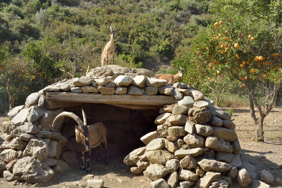 Botanische tuin Kreta