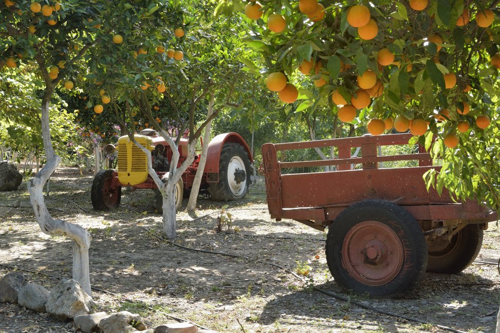 Botanische tuin Kreta