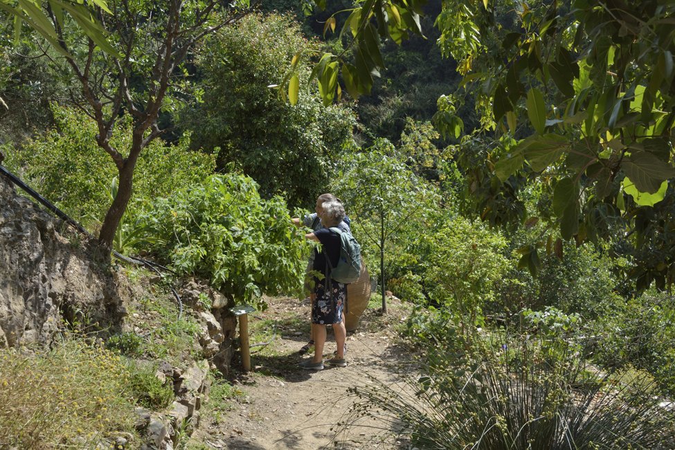 Botanische tuin Kreta