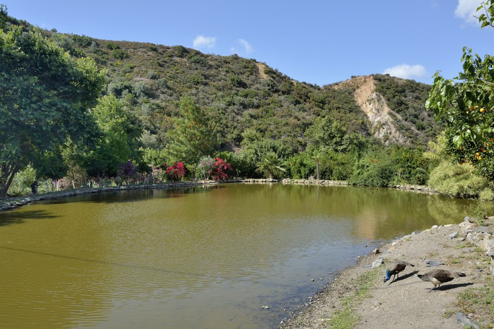Botanische tuin Kreta
