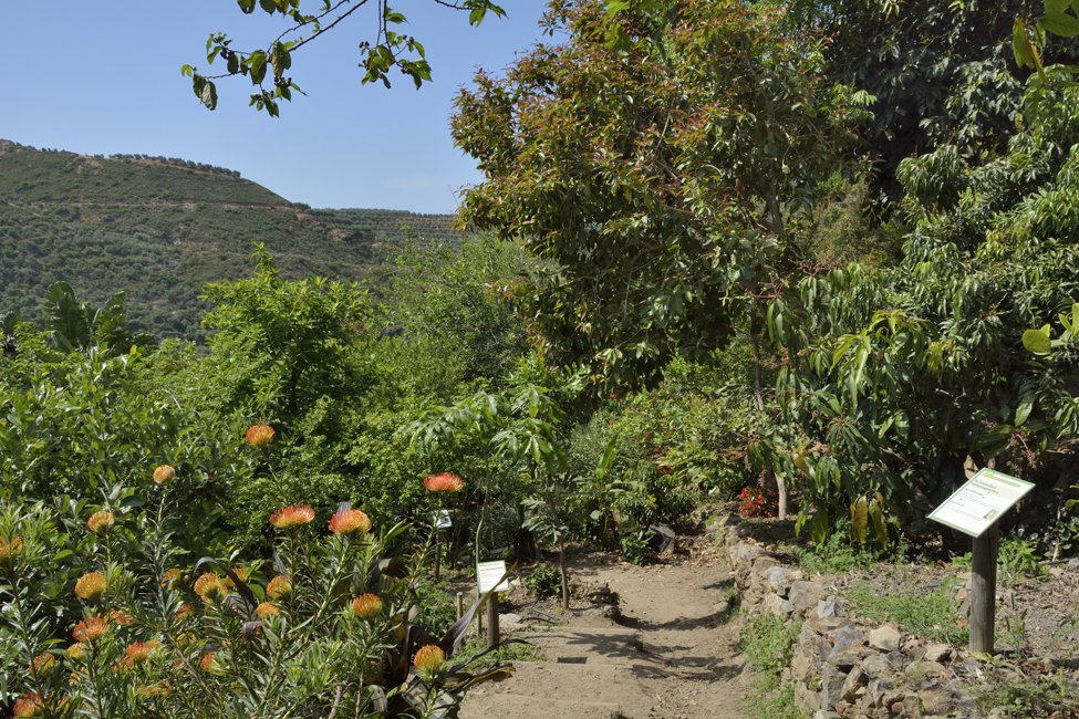 Botanische tuin Kreta