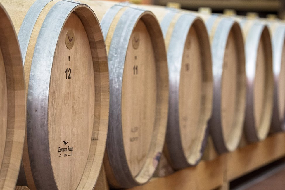 Nestor Winery Peloponnesos