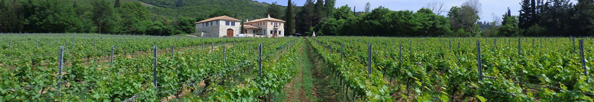 Winery Pilion header