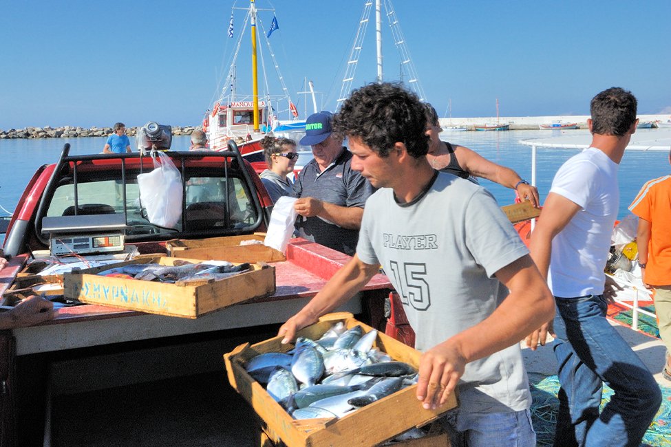 Ormos, Marathokambos