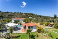 Ageri studios op Skopelos