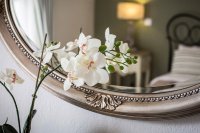 Vassilis Guest House