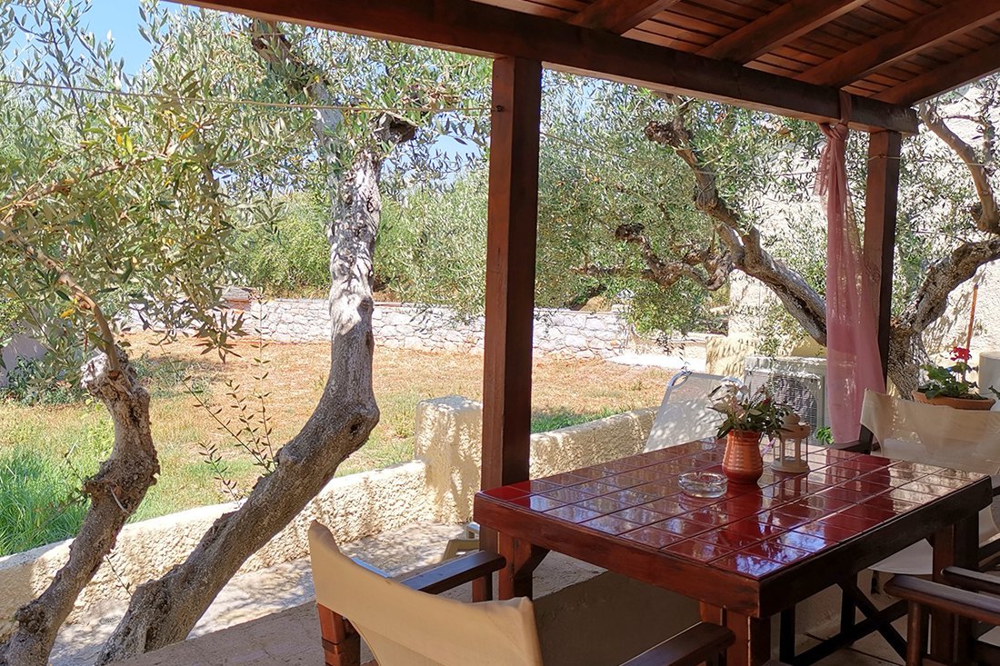 Petrino Peloponnesos NEW