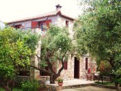 Petrino Peloponnesos NEW