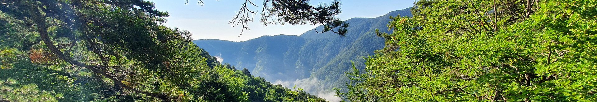 Een wandeling door het Olympos gebergte
