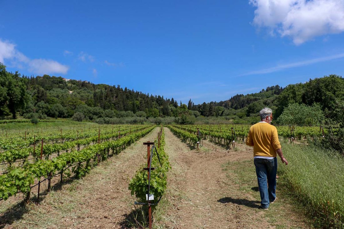 Charitatos Kefalonia