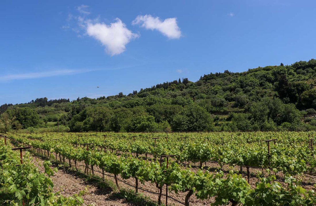 Charitatos Kefalonia