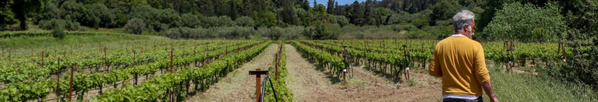 Charitatos Kefalonia