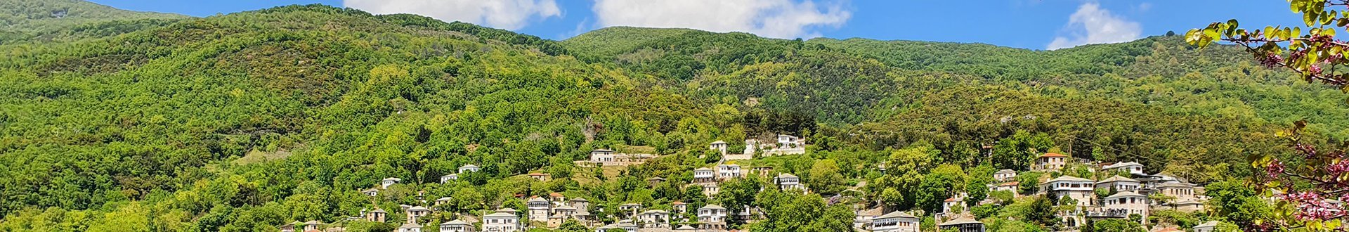 vizitsa header