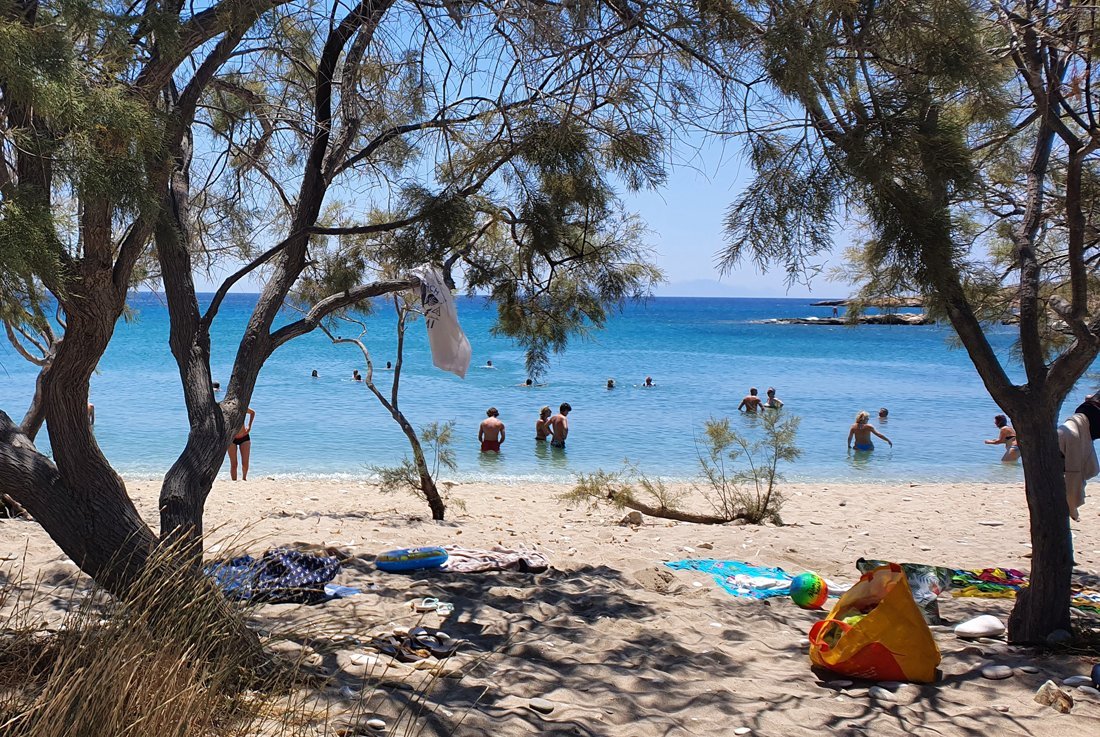 Paros tripiti (5).jpg