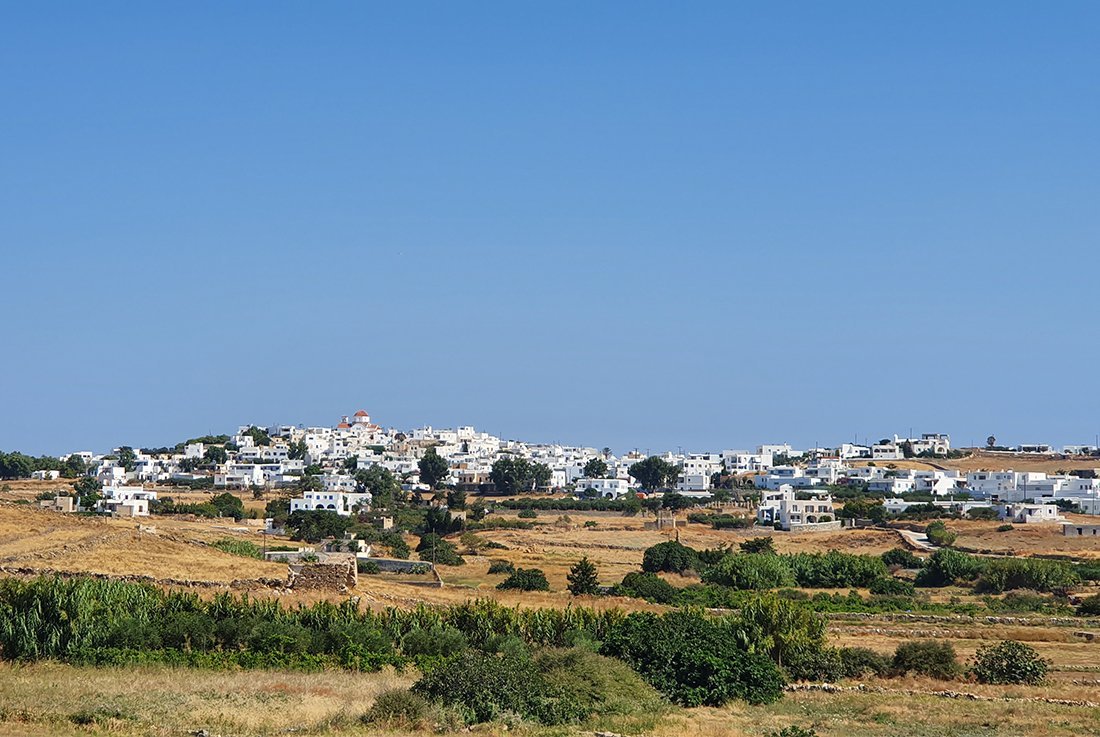 Paros marpissa (1).jpg