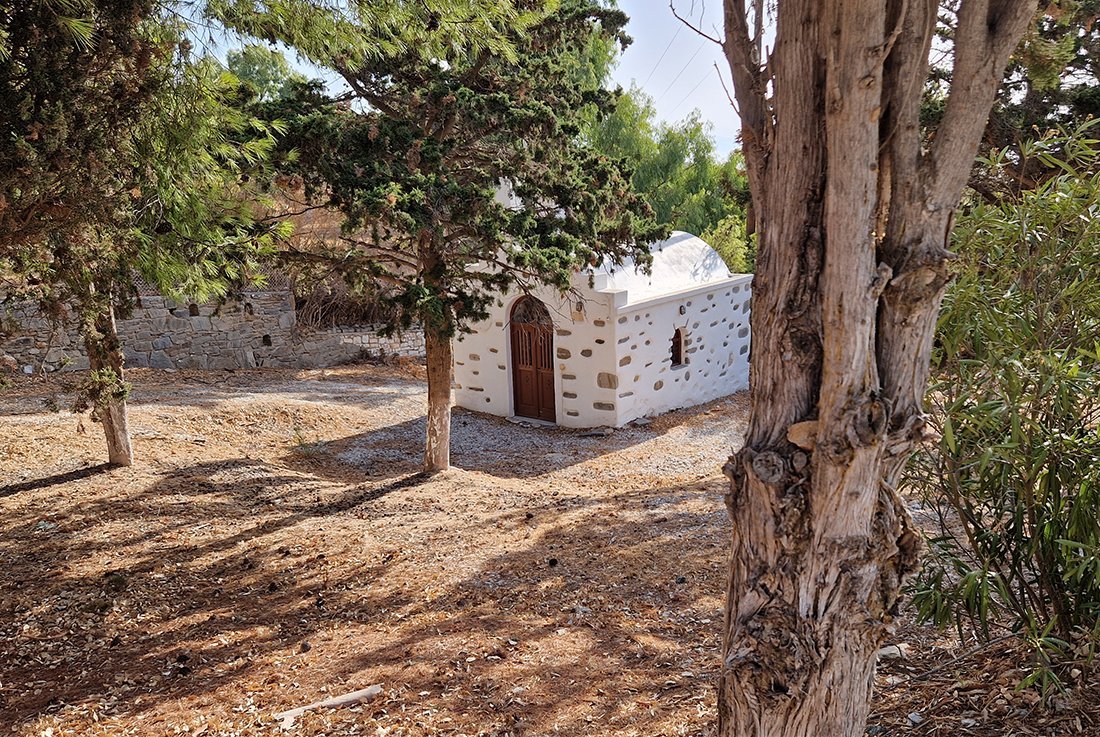 Paros marpissa (12).jpg