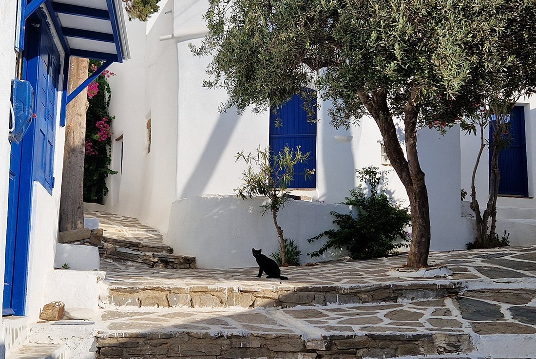 Paros marpissa (32).jpg