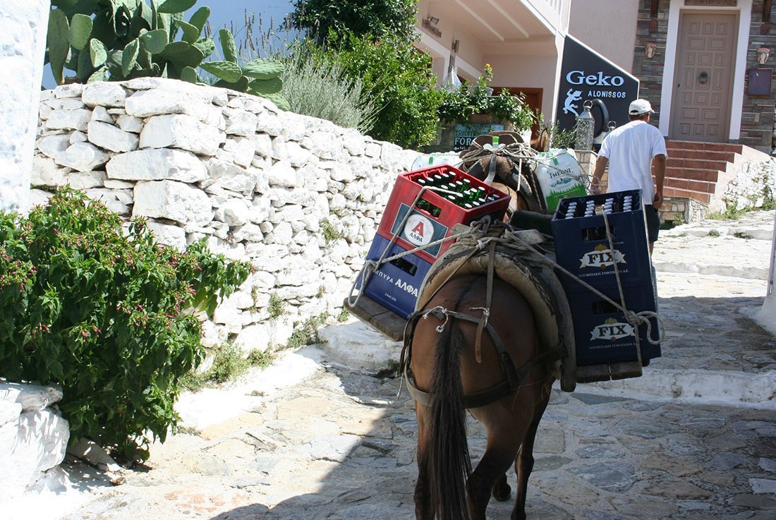 Foto's van gasten Skopelos
