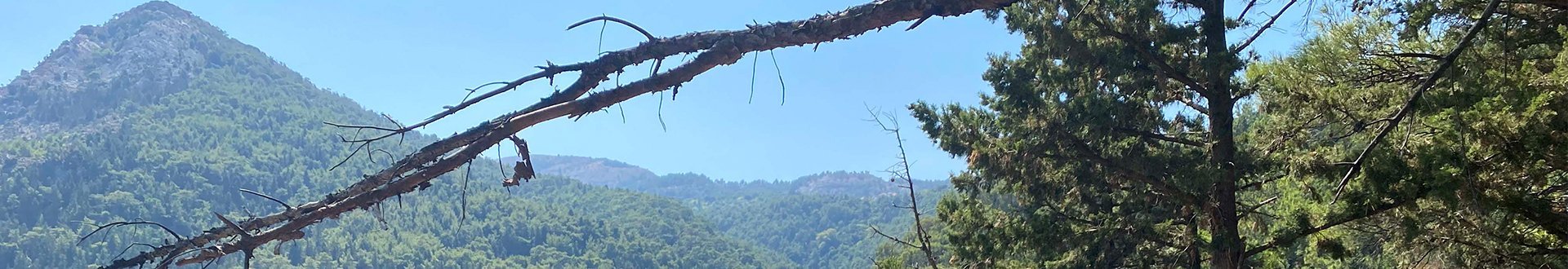 wandelen samos 2023 bant.jpg