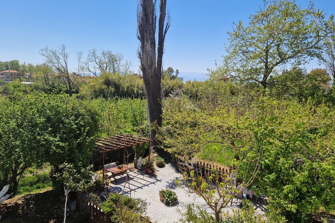 kamelia_alg_terras_2023_apr (3).jpg