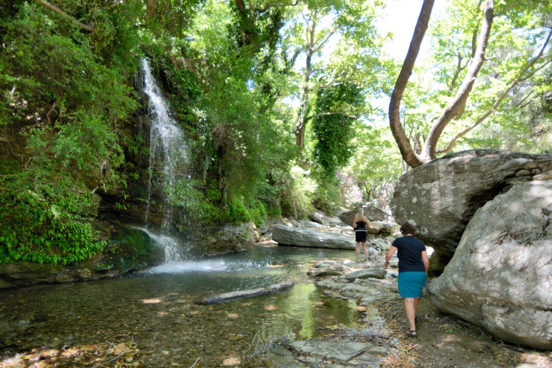 RH_EV_PLATANISTOS_AG