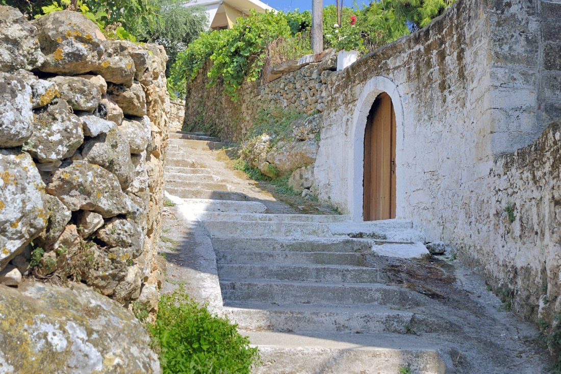 pe_kardamili_ag (1).jpg