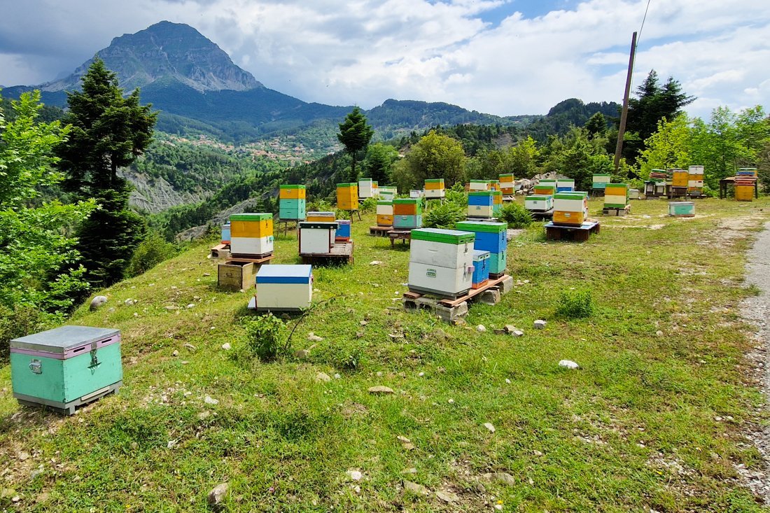 rh_tzoumerka_sn (32).jpg