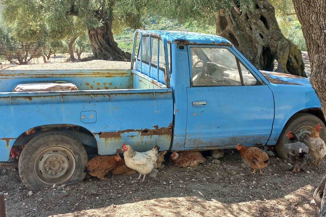 rh_fotos_gasten_23 (2).jpg