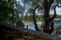 rh_px_aglaia_studio_ei (1).jpg