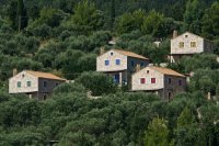 rh_it_pilikas_ei (1).jpg