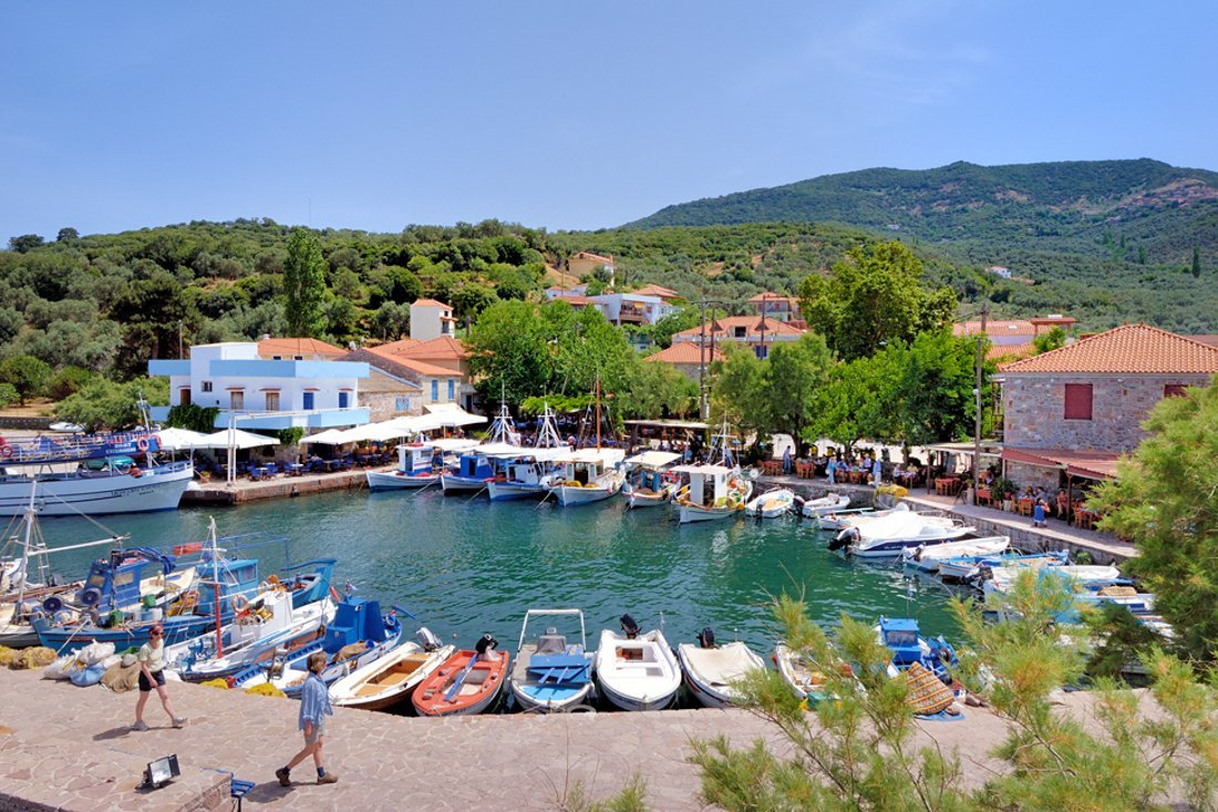 lb_sykamniaskala_ag (3).jpg