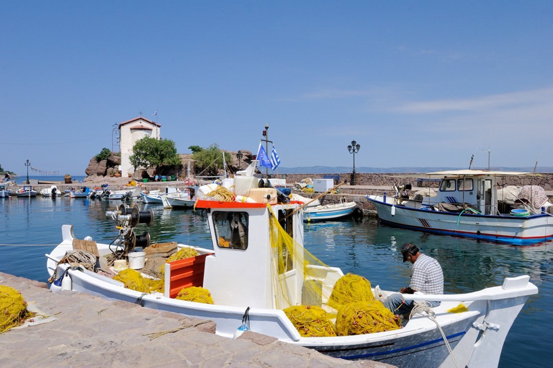 lb_sykamniaskala_ag (1).jpg