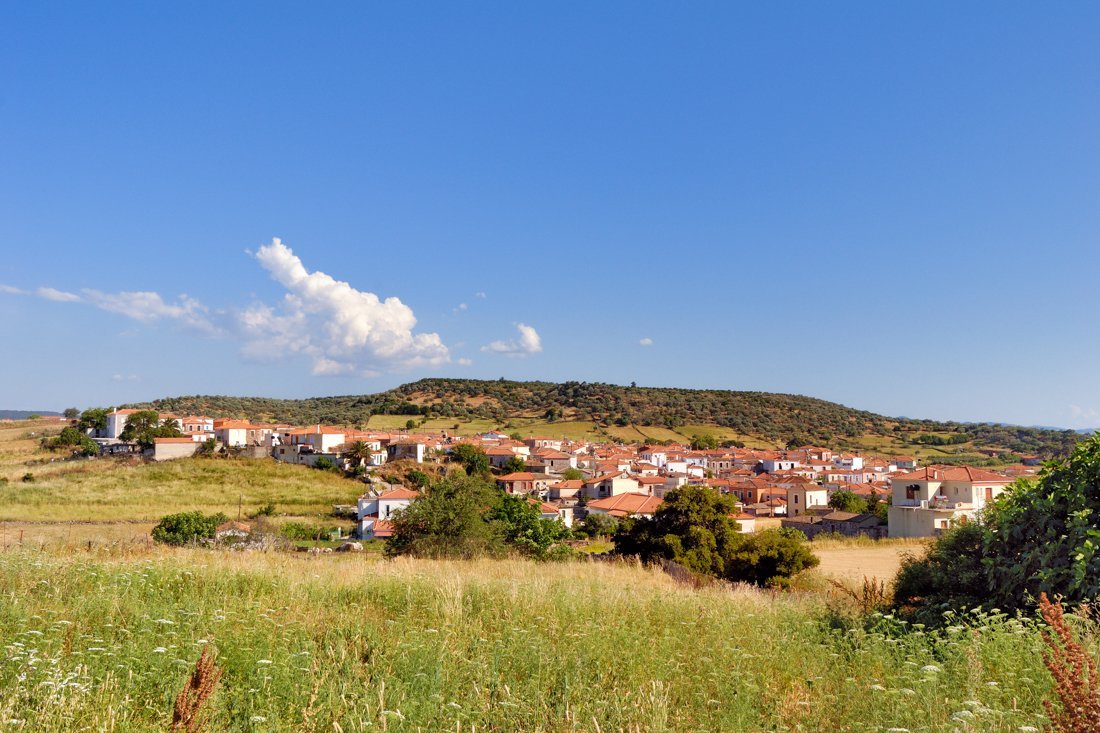 lb_ag_paraskevi_ag (3).jpg