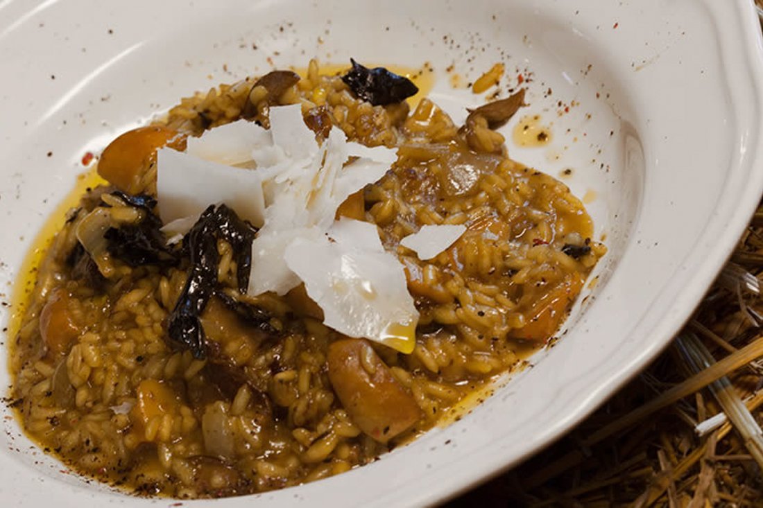 paddenstoelen_ei (11).jpg