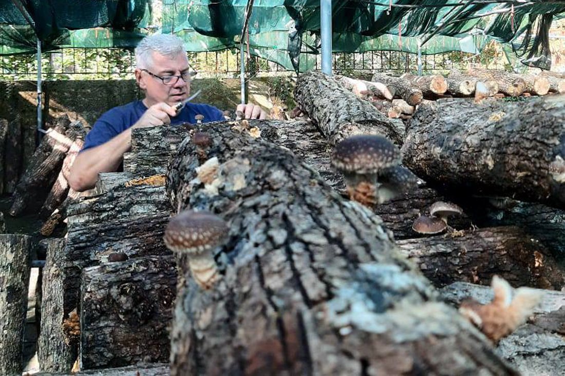 paddenstoelen_ei (6).jpg