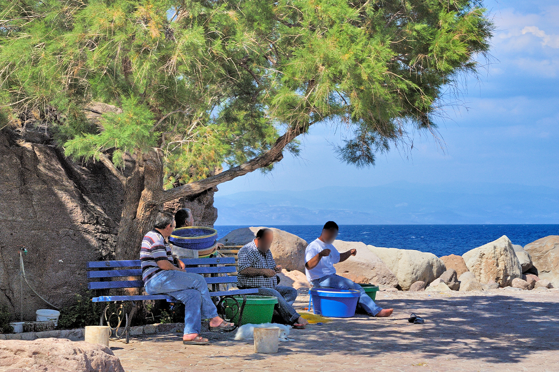 sykamnia_skala_03 ag (3).png